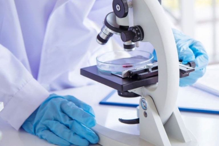 Oncology Stocks: 8 Biggest NASDAQ Companies in 2024