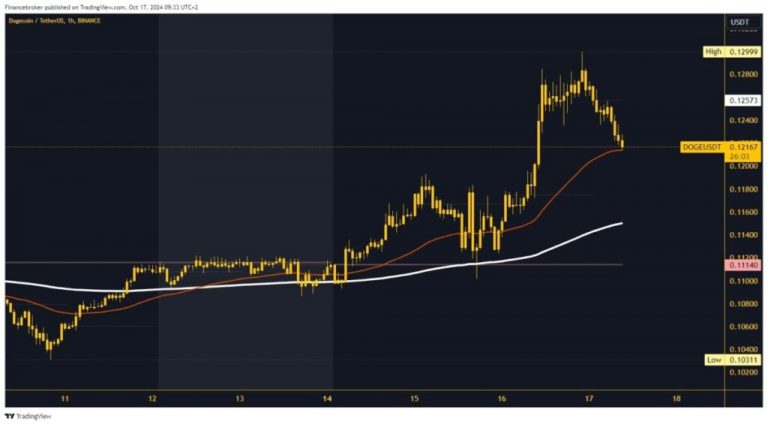 Dogecoin and Shiba Inu: Dogecoin in retreat since last night