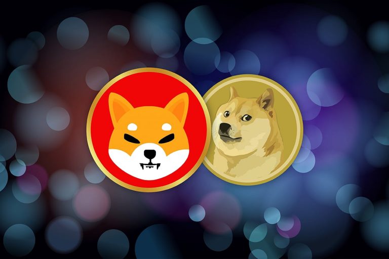 Dogecoin and Shiba Inu: New Highs and Support on Tuesday