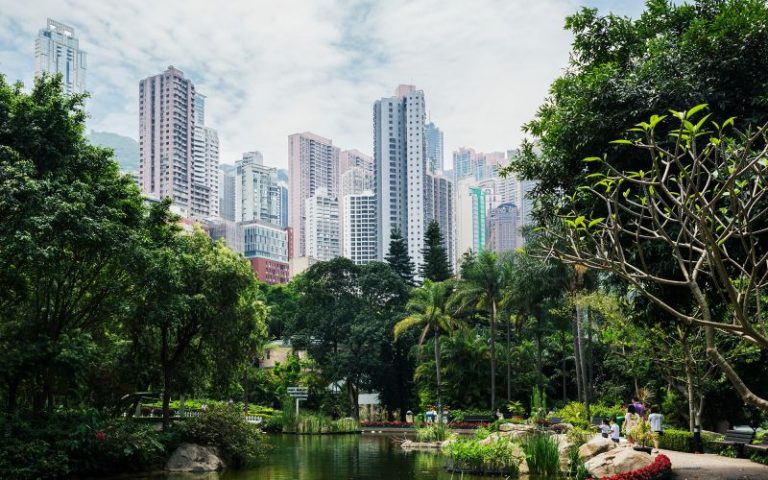 Eight monkeys found dead at Hong Kong zoo, government says