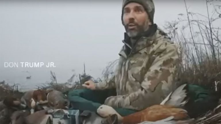 Donald Trump Jr. accused of shooting protected rare duck in Venice lagoon