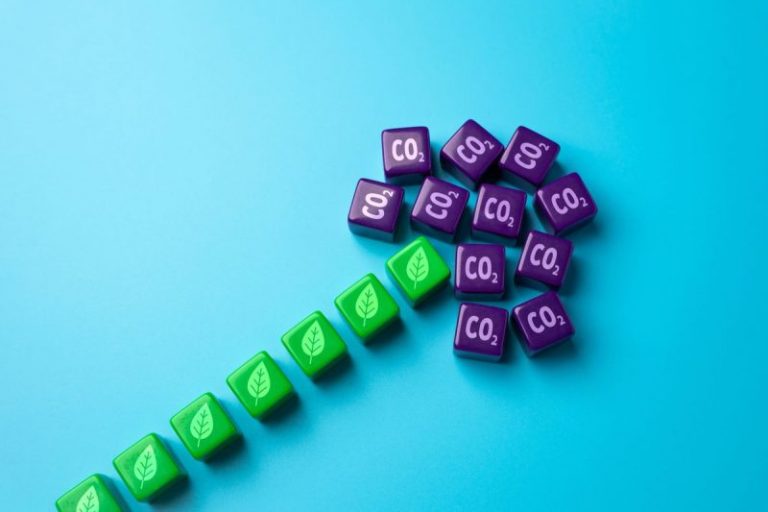 Funding the Energy Transition: The Role of Public and Private Finance in Building Supply Chains