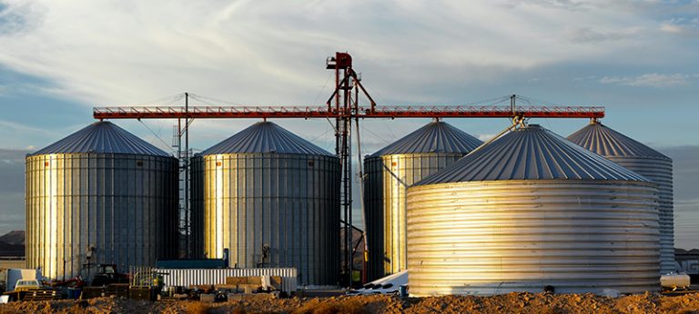 Soracom’s Reliable IoT Connectivity Powers BinSentry’s Livestock Feed Solutions