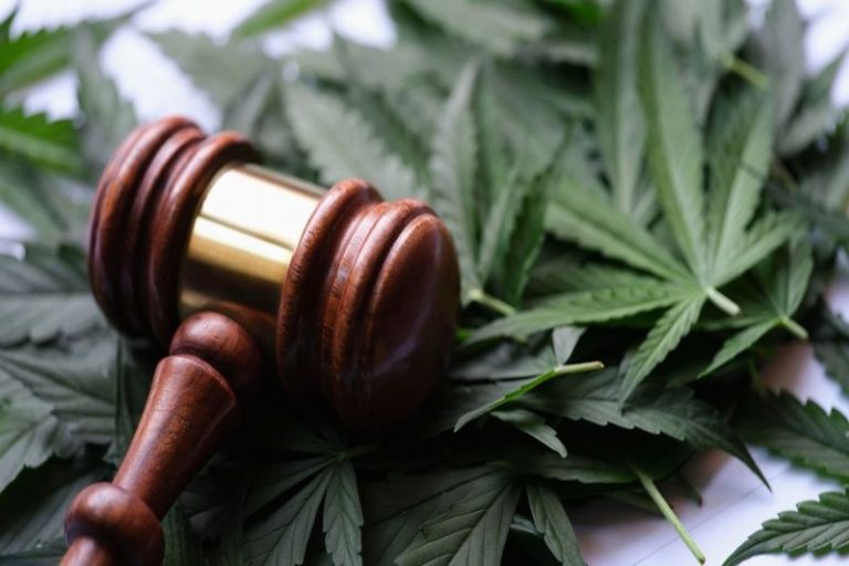 Cannabis Crossroads: Record US Demand Meets Federal Gridlock