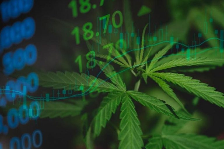 Cannabis Market 2025 Year-End Review